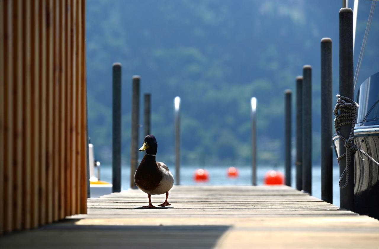 Die Wunder S Ferienpension Pörtschach am Wörthersee Εξωτερικό φωτογραφία
